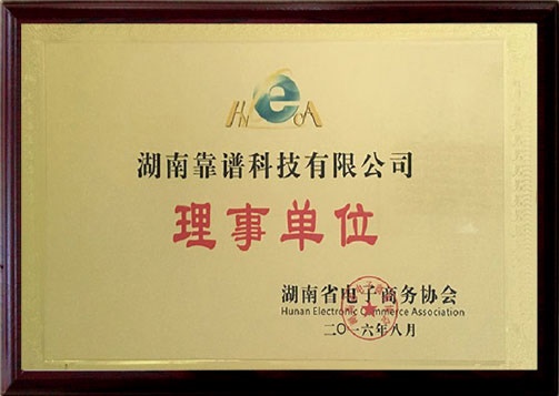 湖南電子商務(wù)協(xié)會理事單位